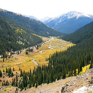 Colorado Rockies