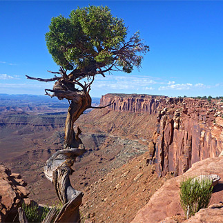 Grand View Trail, Canyonlands NP