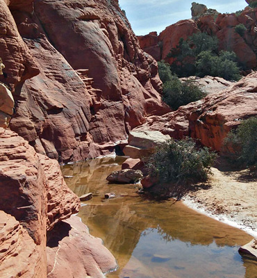 Shallow pool beneath red cliffs