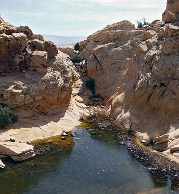 The largest pool at the Calico Tanks
