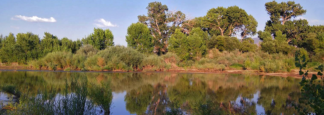 Reflections on the Carson River, Dayton State Park