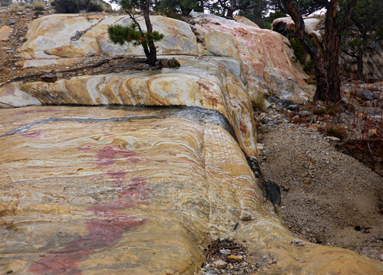 Red, yellow, orange and white sandstone at Little Zion