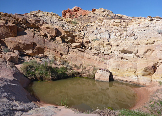 Shallow pool in Magnesite Wash