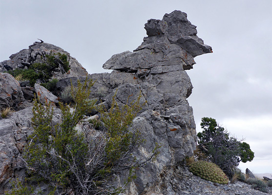 Eroded limestone formation, Mountain Spring Peak