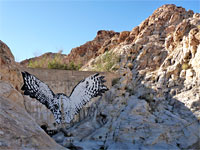 Owl motif on concrete dam