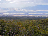 Desert Viewpoint