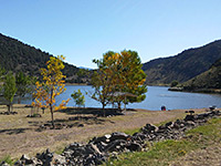 Trees by Eagle Valley Reservoir