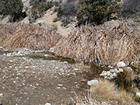 Site of La Madre Dam