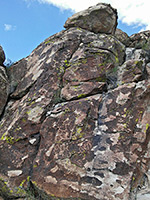 Petroglyphs and lichen