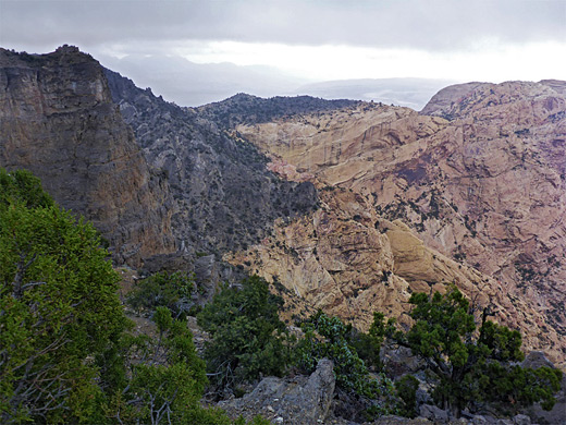 Sandstone cliffs near Mountain Spring Peak