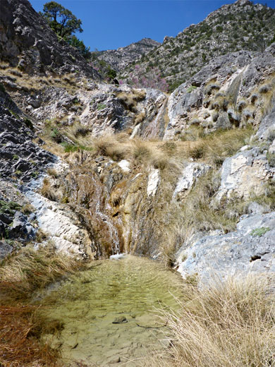 Cascade and pool in Waterfall Canyon