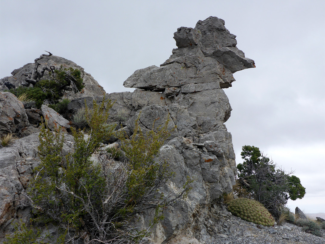 Eroded limestone formation