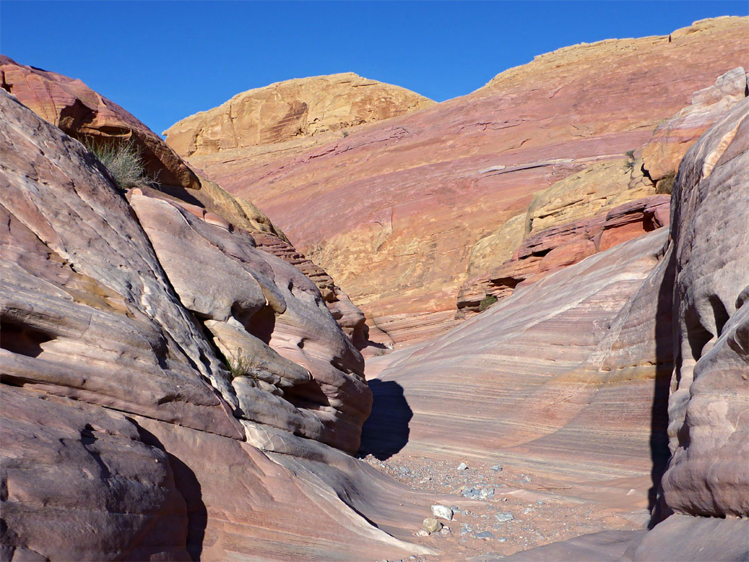 Pastel Canyon streambed