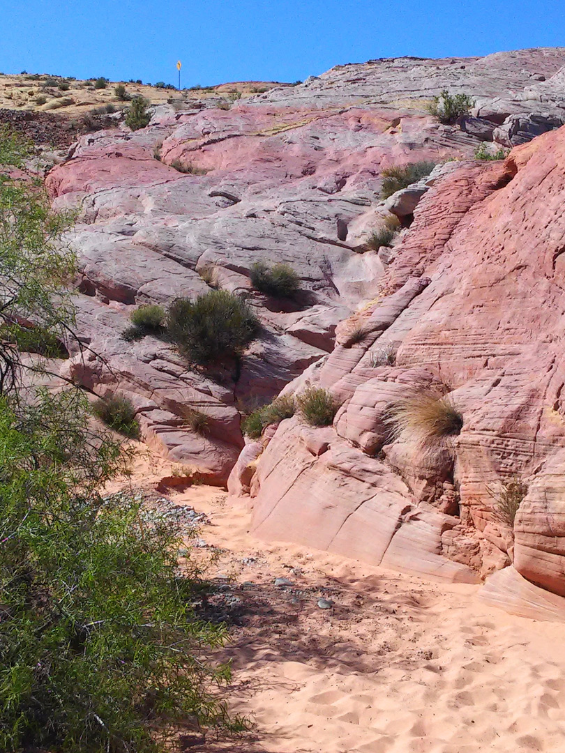 Pinkish rocks