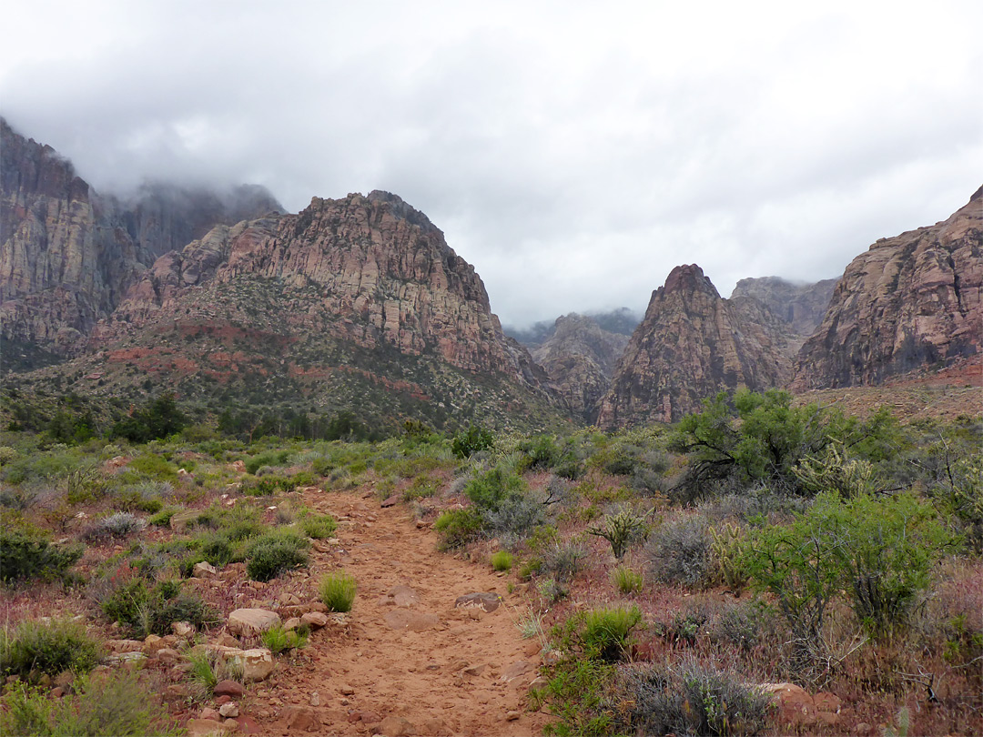 Pine Creek Canyon, Red Rock Canyon National Conservation ...