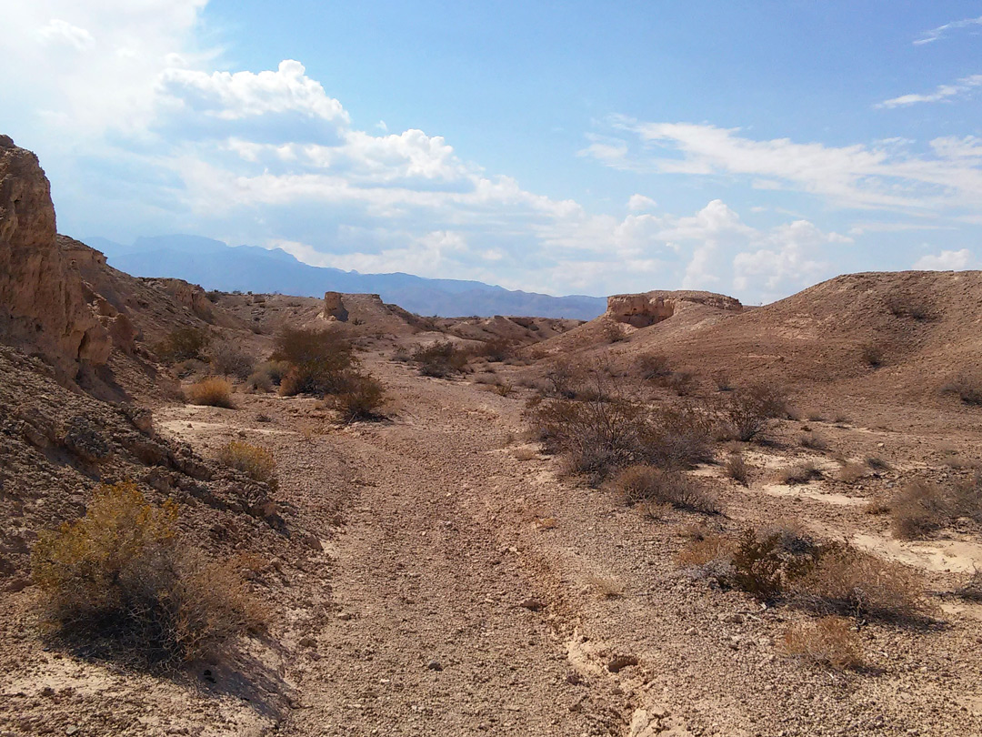 Dry streambed