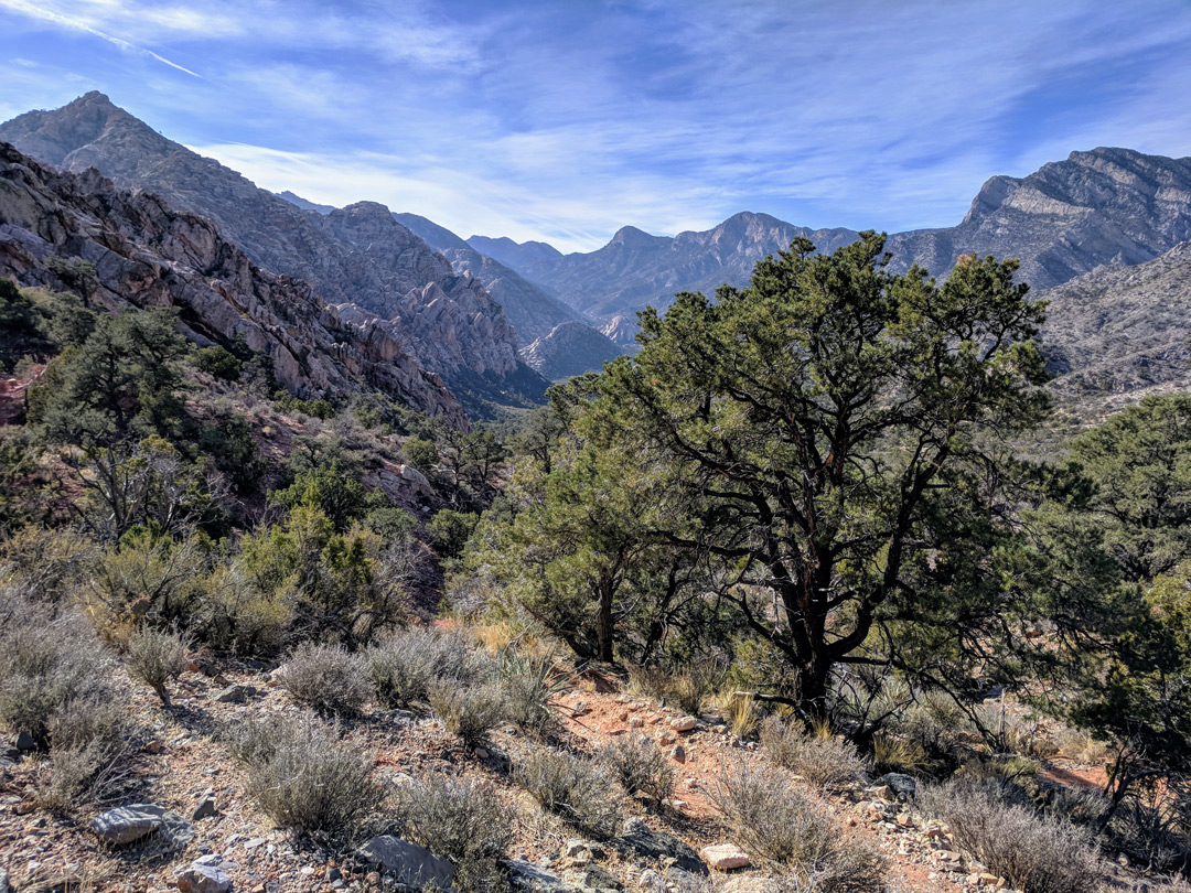 White Rock Loop, Red Rock Canyon National Conservation ...