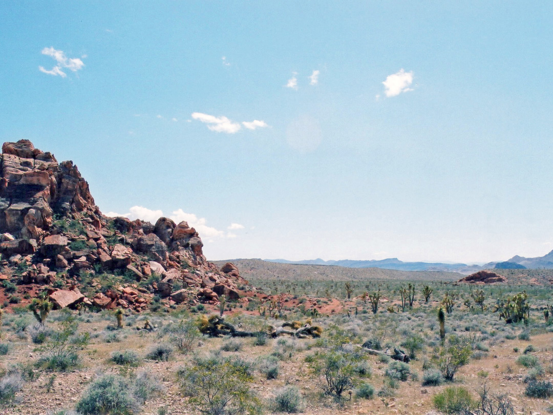 Rocks and desert
