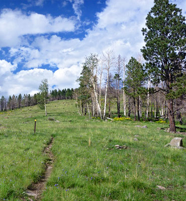 Cerro Grande Trail, Bandelier National Monument, New Mexico