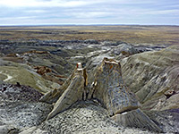 Petrified stump above a ravine