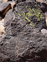 Petroglyph and green lichen