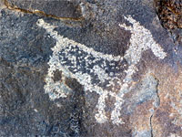 Dog-like petroglyph