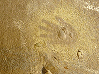 Faint handprint
