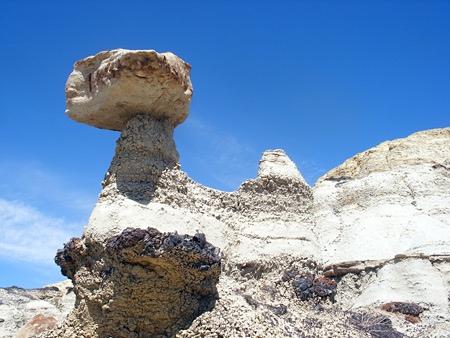 Ah-Shi-Sle-Pah Wilderness Study Area