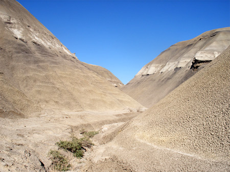 Mud ravine