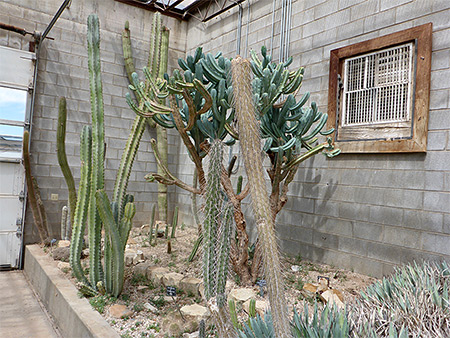 Photographs of Living Desert State Park