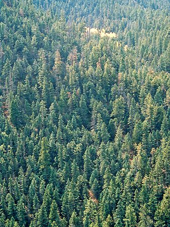 Photographs of Cimarron Canyon State Park