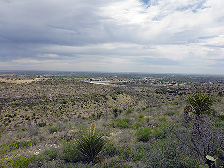 Photographs of Living Desert State Park