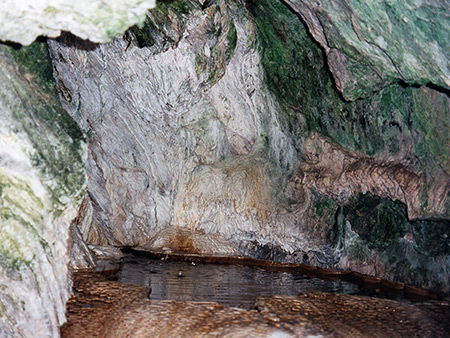 Photographs of The Jemez Mountains