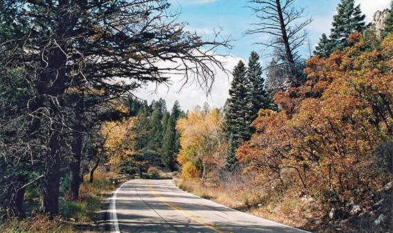 cimarron canyon state park near eagle nest new mexico