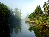 Mist above the Siltcoos River