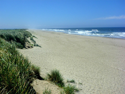 Horsfall Beach