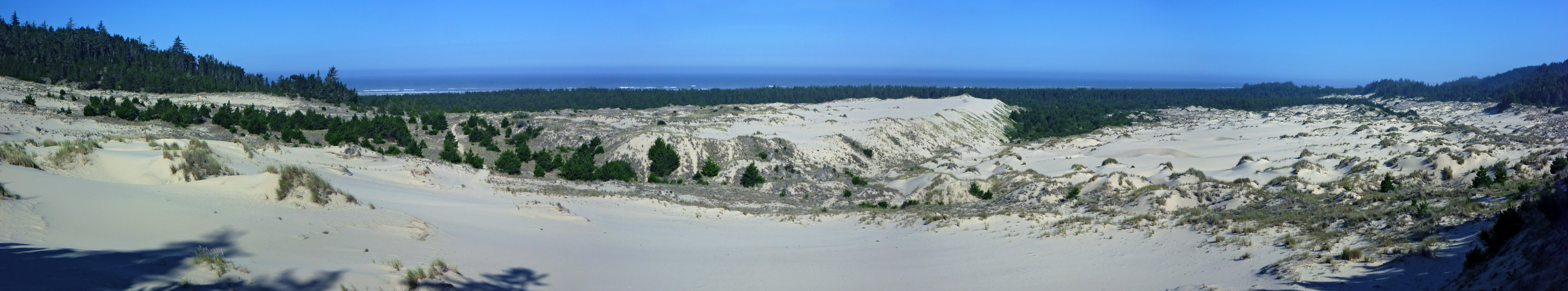 Dunes and forest near Tahkenitch Creek