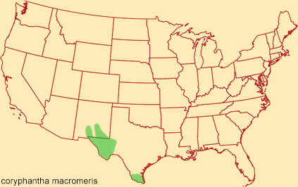 Distribution map for coryphantha macromeris