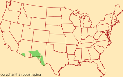 Distribution map for coryphantha robustispina