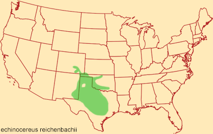 Distribution map for echinocereus reichenbachii