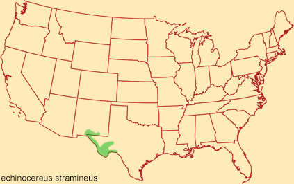 Distribution map for echinocereus stramineus