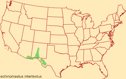 Distribution map for echinomastus intertextus