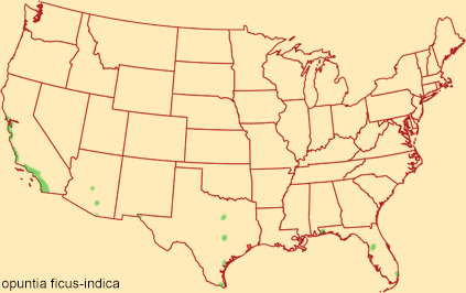 Distribution map for opuntia ficus-indica