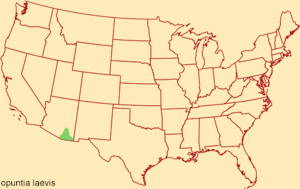 Distribution map for opuntia laevis