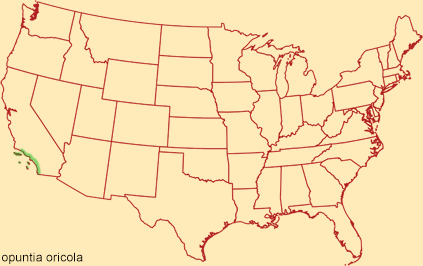 Distribution map for opuntia oricola