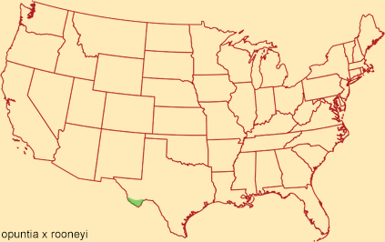 Distribution map for opuntia-x rooneyi