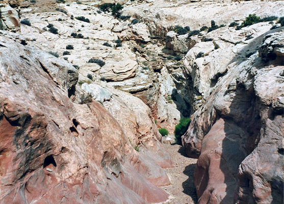 Whitish Navajo sandstone and the red Kayenta Formation
