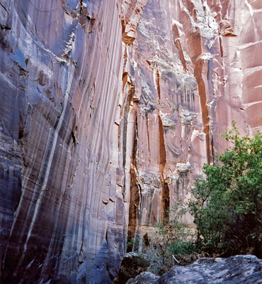Cedar Mesa sandstone cliffs