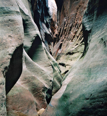 Curvy rocks in the Echo Canyon slot