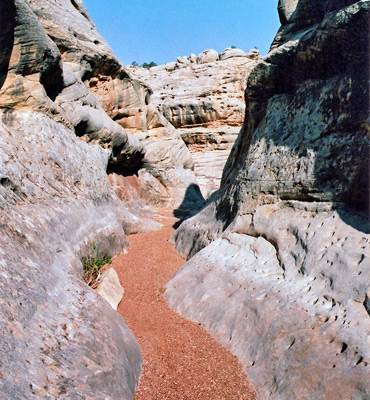 Reddish streambed, Fortknocker Canyon